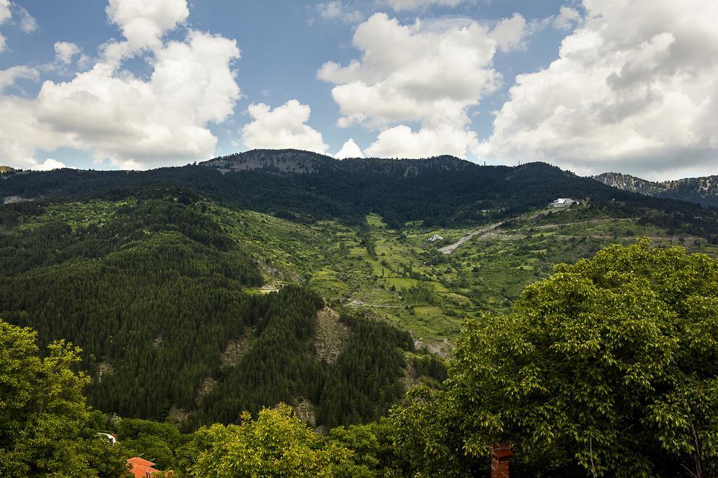 Aroma Dryos Spa & Eco Hotel Metsovo Pokój zdjęcie