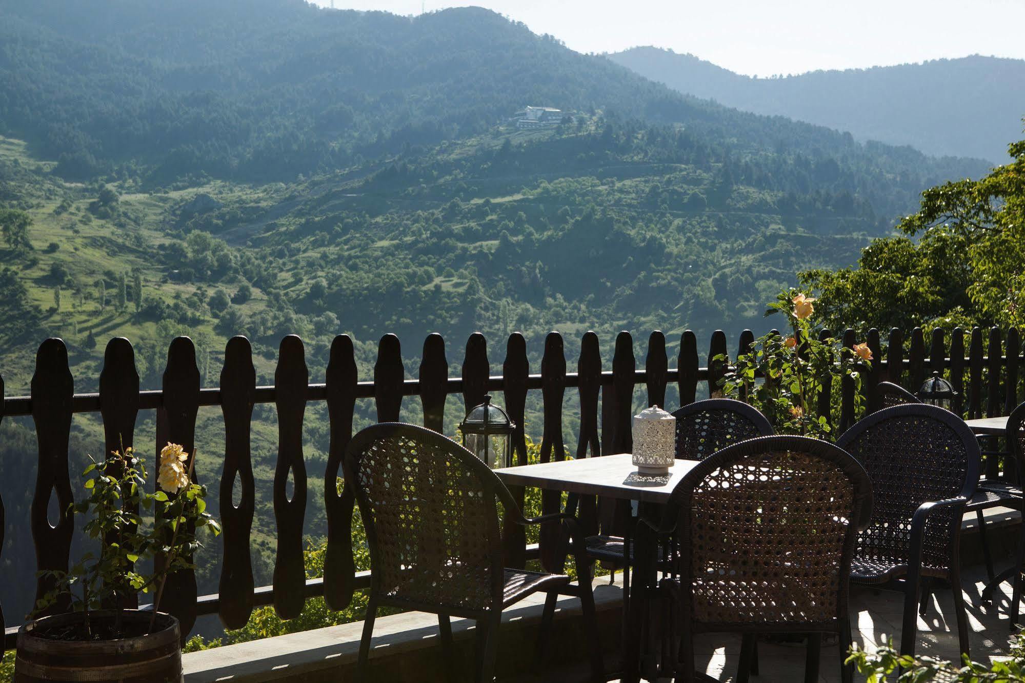 Aroma Dryos Spa & Eco Hotel Metsovo Zewnętrze zdjęcie