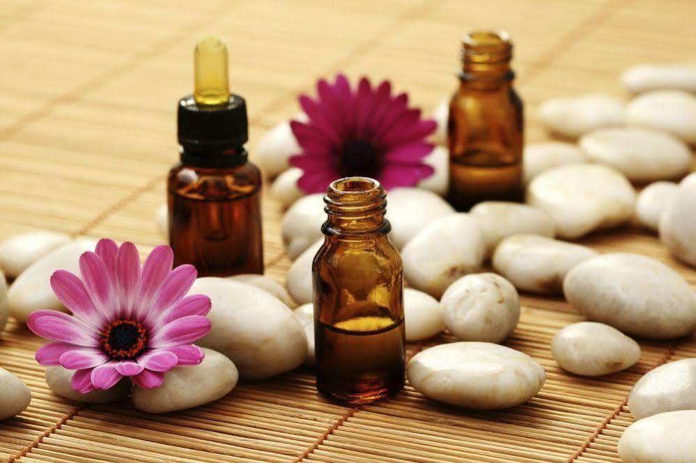 Aroma Dryos Spa & Eco Hotel Metsovo Zewnętrze zdjęcie